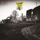 Neue Single von Noyce TM: Fall[out]